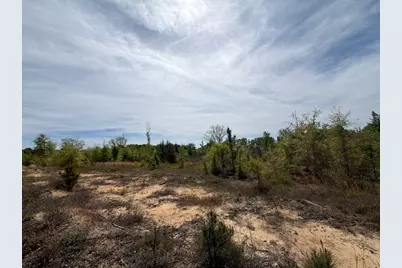 Rrf 6 Rogers Cemetery Road #Rrf 6, Salley, SC 29137 - Photo 2