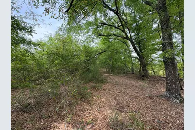 Rrf 6 Rogers Cemetery Road #Rrf 6, Salley, SC 29137 - Photo 14