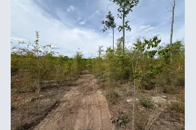 Rrf 6 Rogers Cemetery Road #Rrf 6, Salley, SC 29137 - Photo 18
