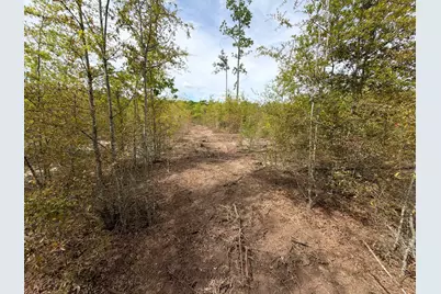 Rrf 6 Rogers Cemetery Road #Rrf 6, Salley, SC 29137 - Photo 16