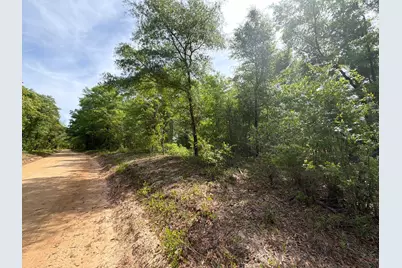 Rrf 7 Rogers Cemetery Road #Rrf 7, Salley, SC 29137 - Photo 2