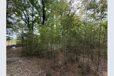 Rrf 7 Rogers Cemetery Road #Rrf 7, Salley, SC 29137 - Photo 12