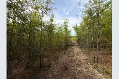 Rrf 7 Rogers Cemetery Road #Rrf 7, Salley, SC 29137 - Photo 10