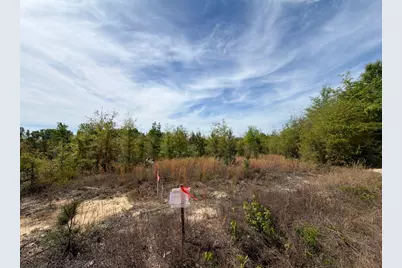 Rrf 7 Rogers Cemetery Road #Rrf 7, Salley, SC 29137 - Photo 6