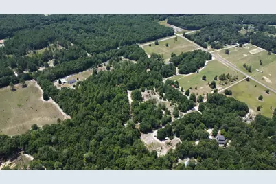 Tbd Poinsettia Road, Wagener, SC 29164 - Photo 6
