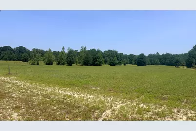 Tbd Poinsettia Road, Wagener, SC 29164 - Photo 2