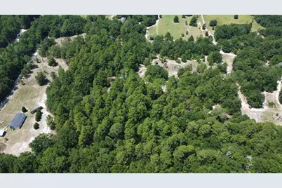 Tbd Poinsettia Road, Wagener, SC 29164 - Photo 8