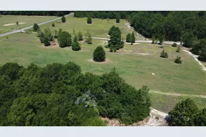 Tbd Poinsettia Road, Wagener, SC 29164 - Photo 12