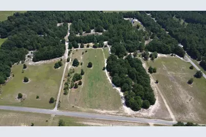Tbd Poinsettia Road, Wagener, SC 29164 - Photo 4
