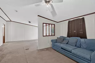 299 Poinsettia Rd, Wagener, SC 29164 - Photo 12