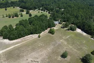 299 Poinsettia Rd, Wagener, SC 29164 - Photo 2