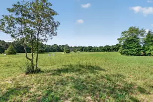 299 Poinsettia Rd, Wagener, SC 29164 - Photo 30