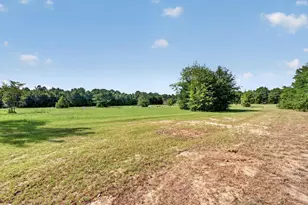 299 Poinsettia Rd, Wagener, SC 29164 - Photo 4
