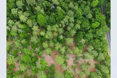 Lot 4 Holiness Church Road, Wagener, SC 29164 - Photo 12