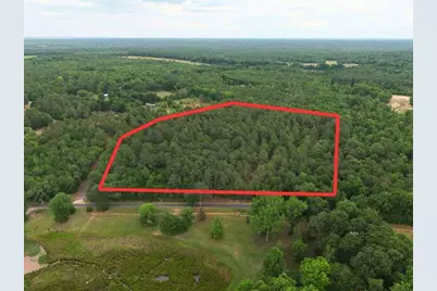Lot 4 Holiness Church Road, Wagener, SC 29164 - Photo 2