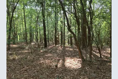Lot 4 Holiness Church Road, Wagener, SC 29164 - Photo 14
