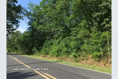 Lot 4 Holiness Church Road, Wagener, SC 29164 - Photo 6