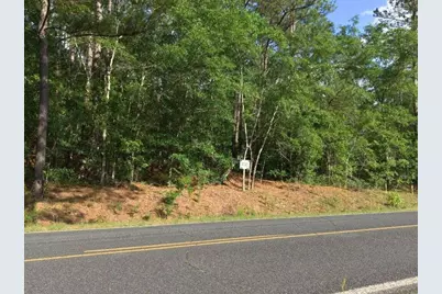Lot 4 Holiness Church Road, Wagener, SC 29164 - Photo 8