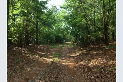 Lot 4 Holiness Church Road, Wagener, SC 29164 - Photo 16