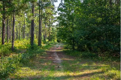 1779 Agile Court, Aiken, SC 29803 - Photo 60