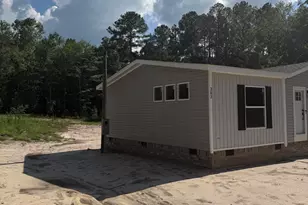 303 Sampson Rd, Gilbert, SC 29054 - Photo 4