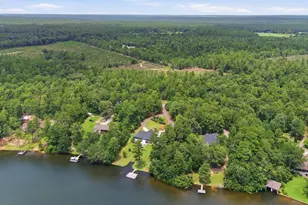 433 Edisto Lake Rd, Wagener, SC 29164 - Photo 52