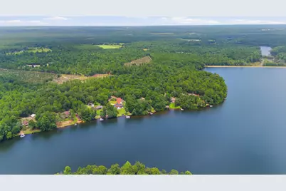 433 Edisto Lake Road, Wagener, SC 29164 - Photo 8