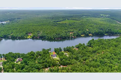 433 Edisto Lake Road, Wagener, SC 29164 - Photo 48