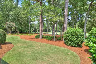 405 Spalding Lake Cir, Aiken, SC 29803 - Photo 46