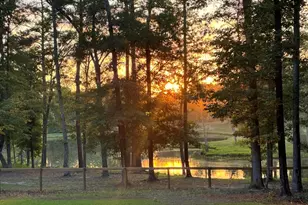 508 Old Dibble Rd, Aiken, SC 29803 - Photo 2
