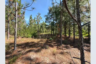Hrf 4 Holstein Road #Hrf 4, Wagener, SC 29164 - Photo 10