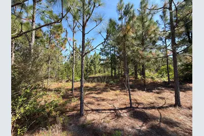 Hrf 4 Holstein Road #Hrf 4, Wagener, SC 29164 - Photo 6