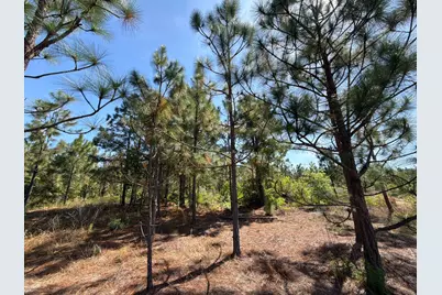 Hrf 4 Holstein Road #Hrf 4, Wagener, SC 29164 - Photo 8