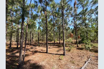 Hrf 4 Holstein Road #Hrf 4, Wagener, SC 29164 - Photo 4