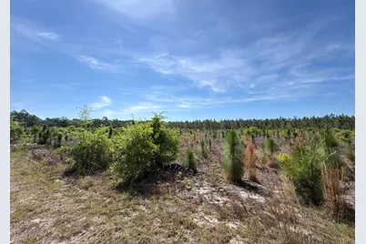Hrf 4 Holstein Road #Hrf 4, Wagener, SC 29164 - Photo 14