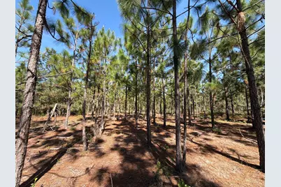 Hrf 4 Holstein Road #Hrf 4, Wagener, SC 29164 - Photo 2