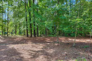 298 Savannah Way, North Augusta, SC 29860 - Photo 56