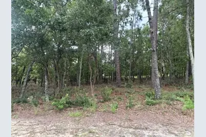 169 Highland Reserve Court, Aiken, SC 29803 - Photo 1