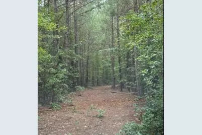 3A Old Edgefield Road, Ninety Six, SC 29666 - Photo 2