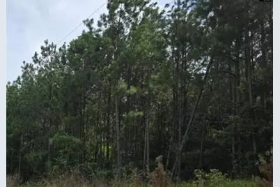 10A Old Edgefield Road, Ninety Six, SC 29666 - Photo 2