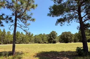 670 N Windsor Rd, Windsor, SC 29856 - Photo 32