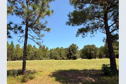 670 N Windsor Road, Windsor, SC 29856 - Photo 34