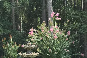 620 Ashbury Dr, Aiken, SC 29803 - Photo 4