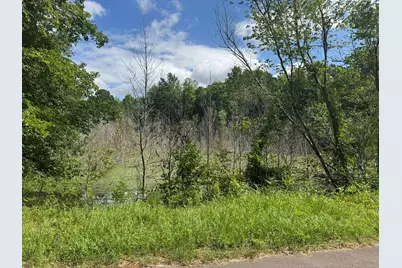 Tbd Festival Trail Road #26 Acres +/-, Salley, SC 29137 - Photo 1