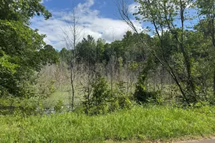 Tbd Festival Trail Rd, Salley, SC 29137 - Photo 1