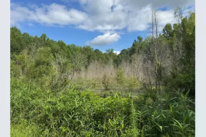 Tbd Festival Trail Road #26 Acres +/-, Salley, SC 29137 - Photo 2