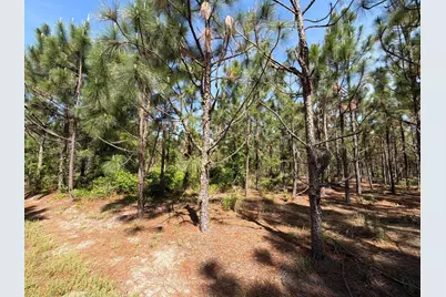 Hrf 6 Holstein Road #Hrf 6, Wagener, SC 29164 - Photo 10