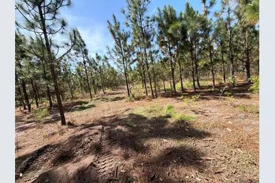 Hrf 6 Holstein Road #Hrf 6, Wagener, SC 29164 - Photo 8