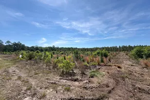 Hrf 6 Holstein Rd, Wagener, SC 29164 - Photo 1