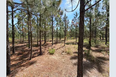 Hrf 6 Holstein Road #Hrf 6, Wagener, SC 29164 - Photo 6